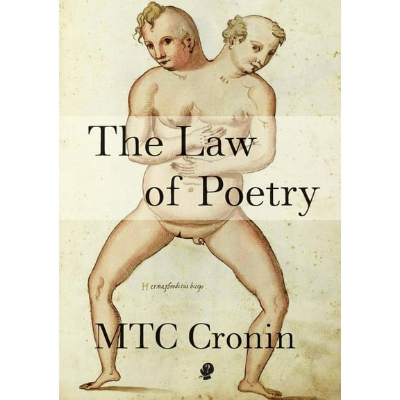 Law of Poetry (Paperback)