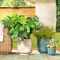thumbnail image 2 of Beautiful 16 Inch Soft Teal Debossed Ceramic Planter by Drew Barrymore, 2 of 8