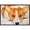 Multicolor, variant on Fiona Corgi Door Mat