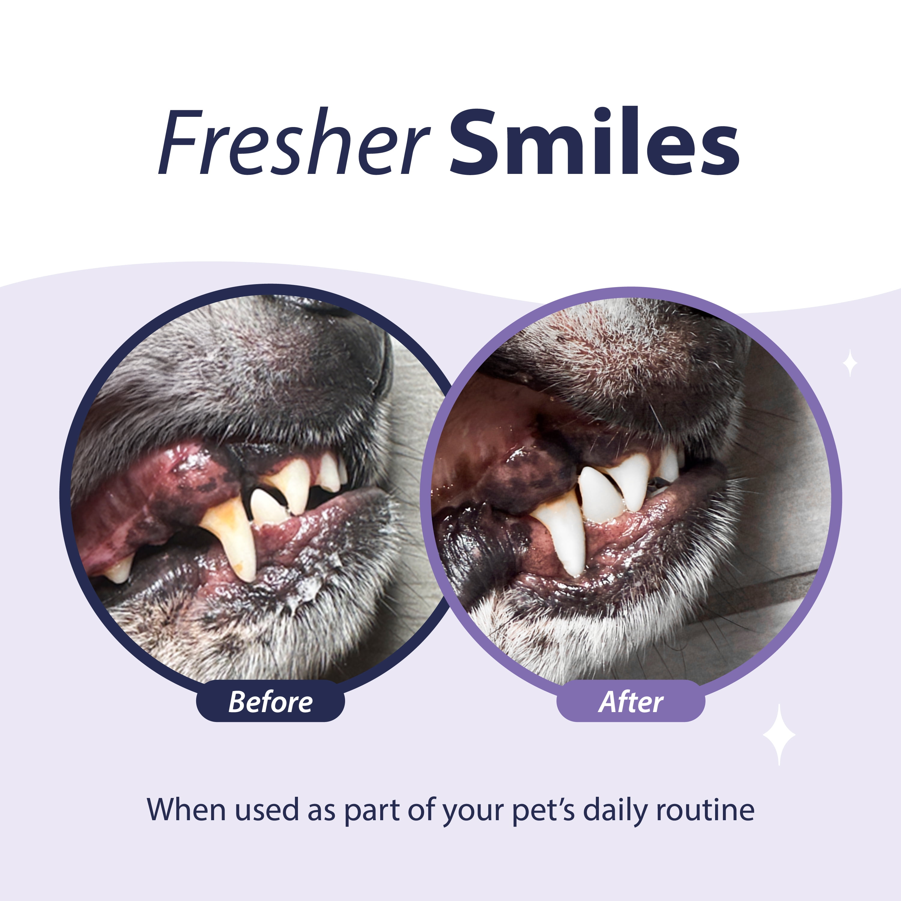 Dental Fresh Advanced Plaque and Tartar Water Additive for Dogs, 17 oz.