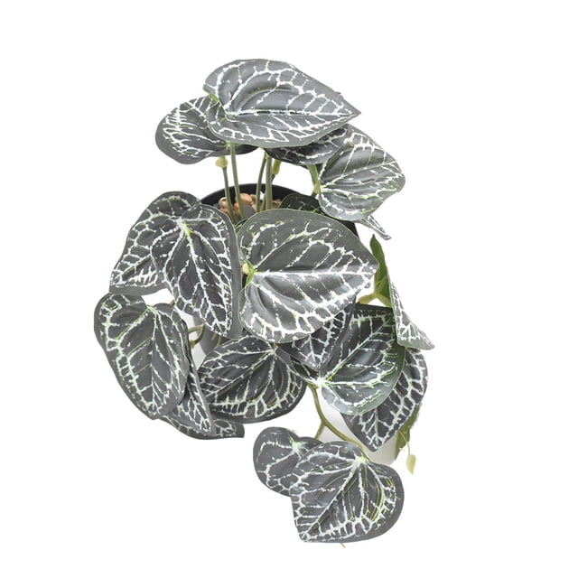 Inteprter Hermosas plantas de terrario: naturaleza en interiores, sin necesidad de riego, plantas de plástico para el hogar, hoja de flor de Type3 NO3