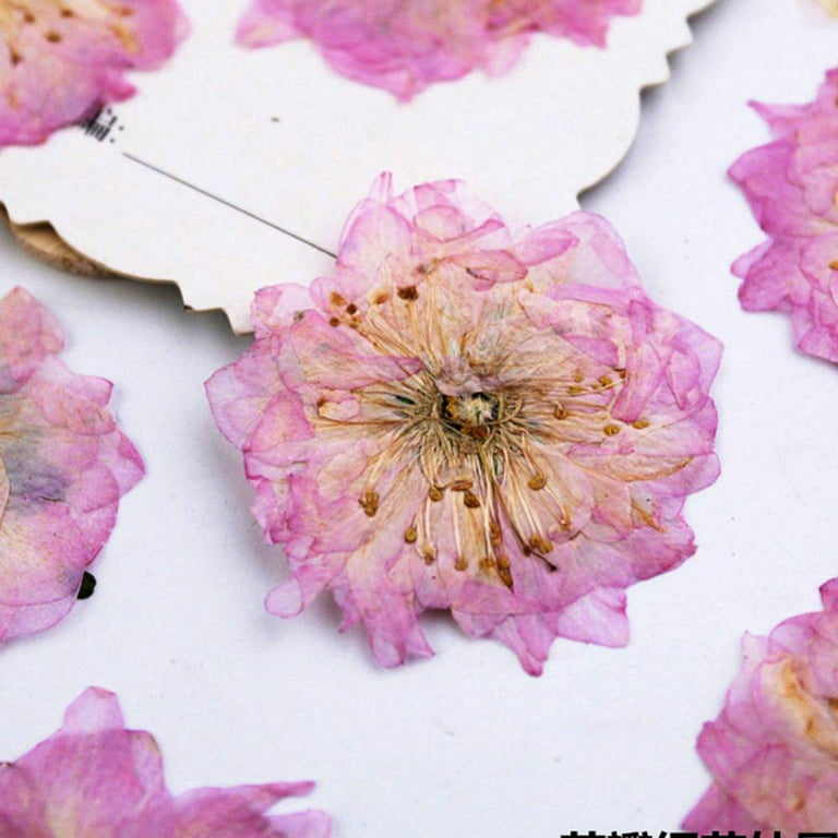 92 Pcs Purple Dried Pressed Flowers Real Natural Leave Petals for