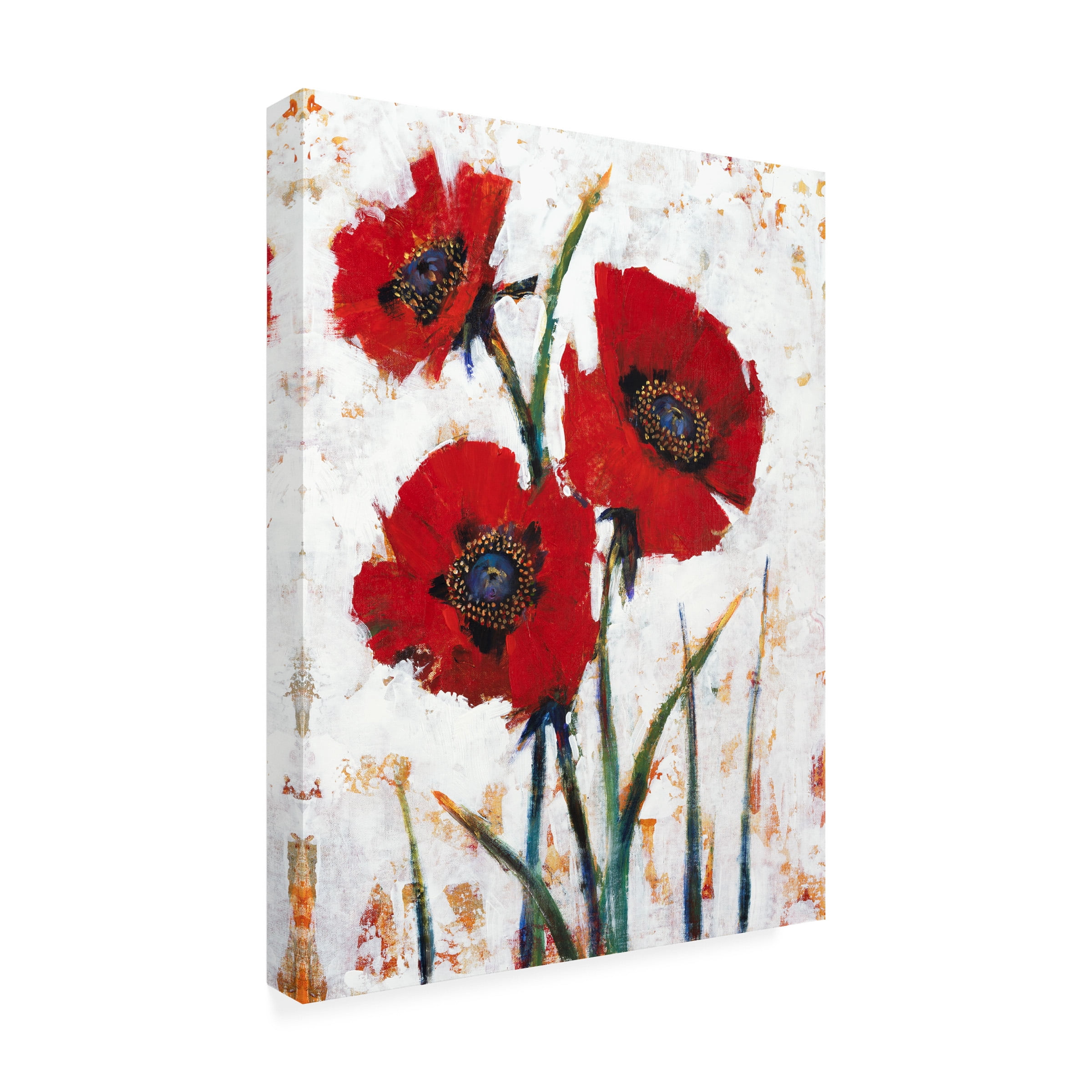 Tim O Toole 'Red Poppy Fresco I' Canvas Art