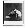 thumbnail image 2 of Historic Framed Print, [Photograph of painting of RCA dog facing an RCA phonograph], 17-7/8" x 21-7/8", 2 of 9