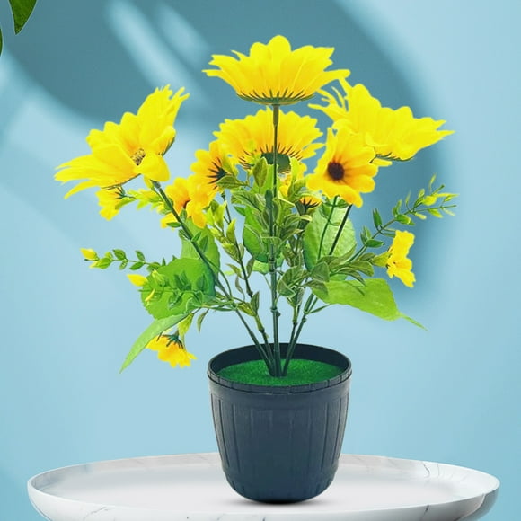 Potted Sunflowers