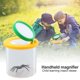 thumbnail image 4 of Caja de insectos araña sobre orugas cilíndrica lupa lupa (amarillo), 4 of 6