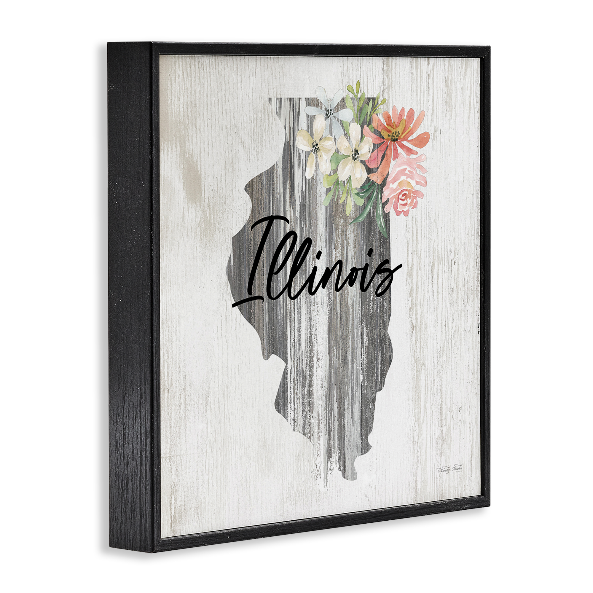 Stupell Industries Shabby Chic Illinois Botanical & Floral Painting Black Framed Art Print Wall Art, 12 x 12