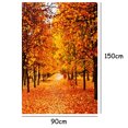 thumbnail image 4 of 3x5ft Vinyl Photography Studio Photo Props Backdrops Autumn Theme Background, 4 of 5