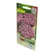 thumbnail image 2 of Semillas Panalillo Alyssum Víta Violeta 0.3 Gr, 2 of 3