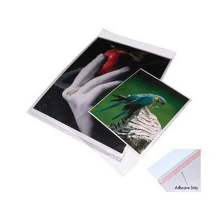 Print File 8x10 Re-sealable Photo / Art Bags (100 Pack)