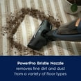 thumbnail image 4 of Electrolux WellQ7 Cordless 2-in-1 Vacuum Cleaner, Denim Blue, 4 of 9