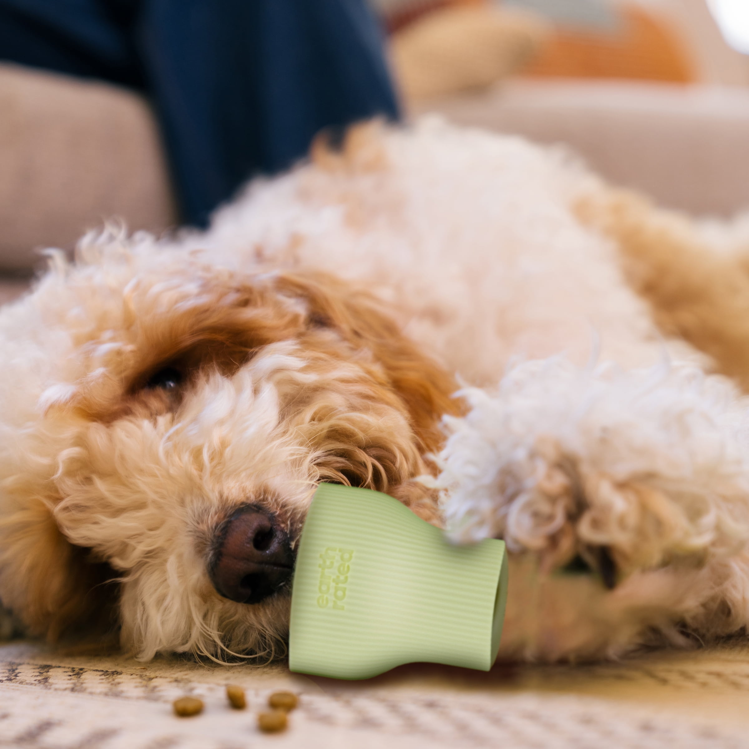 Earth Rated Snackster Dog Toy, Dual Treat Feeder, Enrichment Toy for Dogs