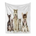 thumbnail image 1 of Corgi Soft Flannel Fleece Throw Blanket, Group of Pets Cats and Dogs 4 Legged Friends Photo, Cozy Plush for Indoor and Outdoor Use, 50" x 60", Multicolor, by Ambesonne, 1 of 5