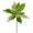Lime, variant on Vickerman 13" x 23" Lime Poinsettia Mesh Glitter Artificial Christmas Spray. Includes 6 sprays per pack.