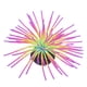 thumbnail image 2 of Acuario de silicona, simulación de Coral, paisajismo del tanque de peces, decoración, plantas de agua falsas, coloridas, 2 of 13
