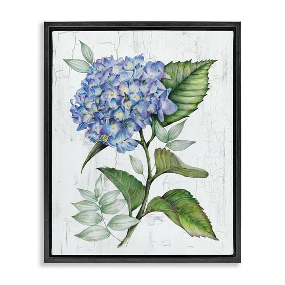 Stupell Industries English Manor Hydrangea Plants & Flowers Painting Black Floater Framed Canvas Art Print Wall Art, 17 x 21