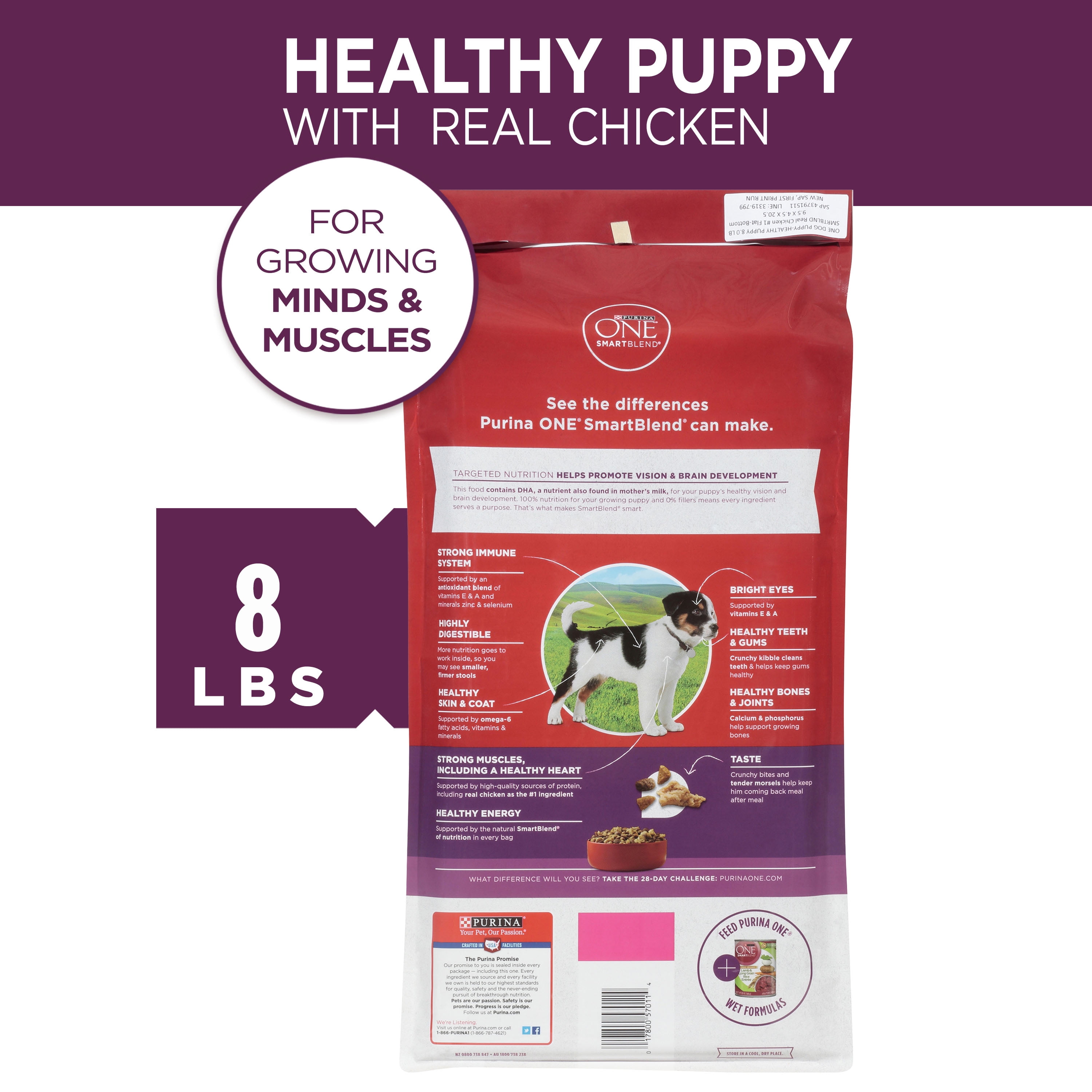purina one healthy puppy formula