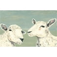 thumbnail image 2 of Reynolds, Jade 18x13 White Modern Wood Framed Museum Art Print Titled - Bashful Sheep I, 2 of 4