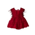 thumbnail image 2 of Musuos Baby Girls Summer Romper Dress 3 6 12 18 24M Toddler Sleeveless Feather Decor Sweet Lace Romper, 2 of 9