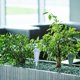 thumbnail image 4 of 4 Pack Plastic Plant Watering Devices Plants Indoor Outdoor Pots Garden Flowers Automatic Watering System (Green and Blue), 4 of 4