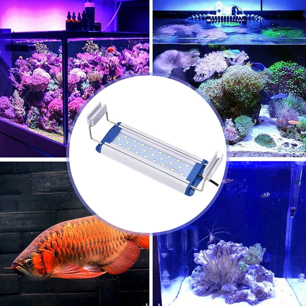 Lumière LED Pour Aquarium, Lumière Haute 220 V Pour Plantes Aquatiques, Aquarium  Pour Aquarium Q-50 14 W 