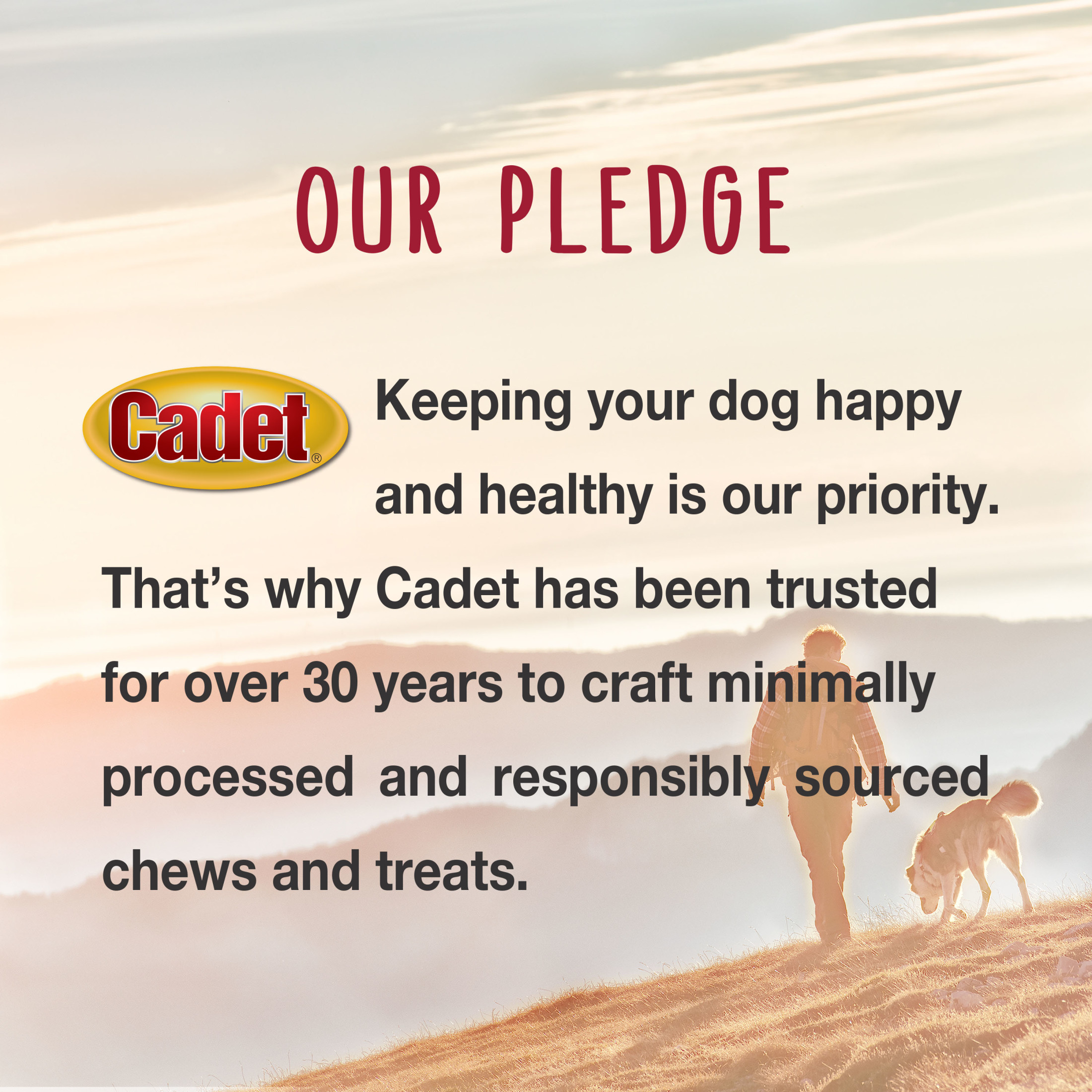 Cadet Bully Stick Dog Chews, Small, 5.2 Ounces photo 8