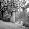 thumbnail image 2 of Blaustein, Alan 20x20 White Modern Wood Framed Museum Art Print Titled - Firenze - 1, 2 of 4