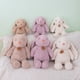 thumbnail image 2 of Conejo de peluche SulfEars, juguetes de peluche, lindo, animal de dibujos animados, almohada, muñecas de bebé ase de seguridad, regalo de cumpleaños para niños, tazón, 35 cm, 50 cm zhangyuxiang LED, 2 of 2
