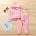 thumbnail image 3 of Baby Girls' Pink Autumn And Winter Hoodie Set Sweatshirt Letter Print Pullover 0-18M., 3 of 8