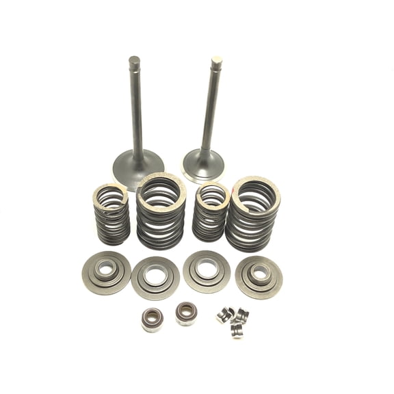 Engine Valve Kit Fit MOTO-4 YFM350 1989-1995 Big Bear YFM350 1987-1999