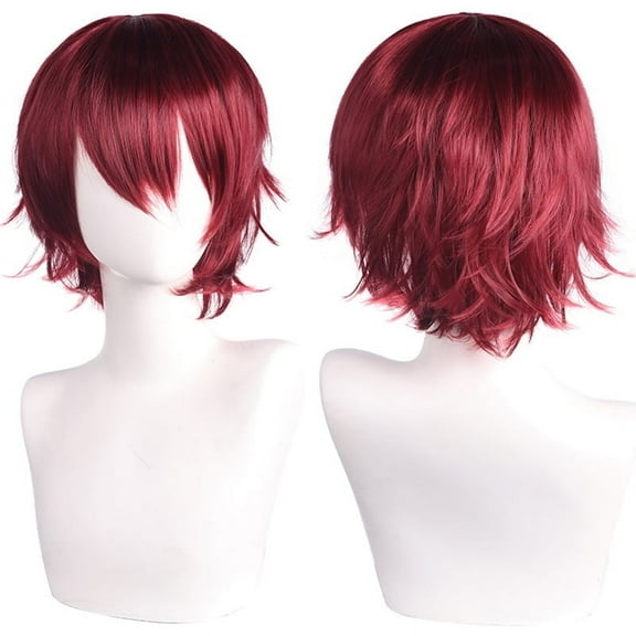 Namzi Unisex Anime Short Hair Wig Cosplay Anime Wig Fluffy Layered Costume Wig Heat Resistant Synthetic Costume Party Prom Wigs with Bangs，Wine Red