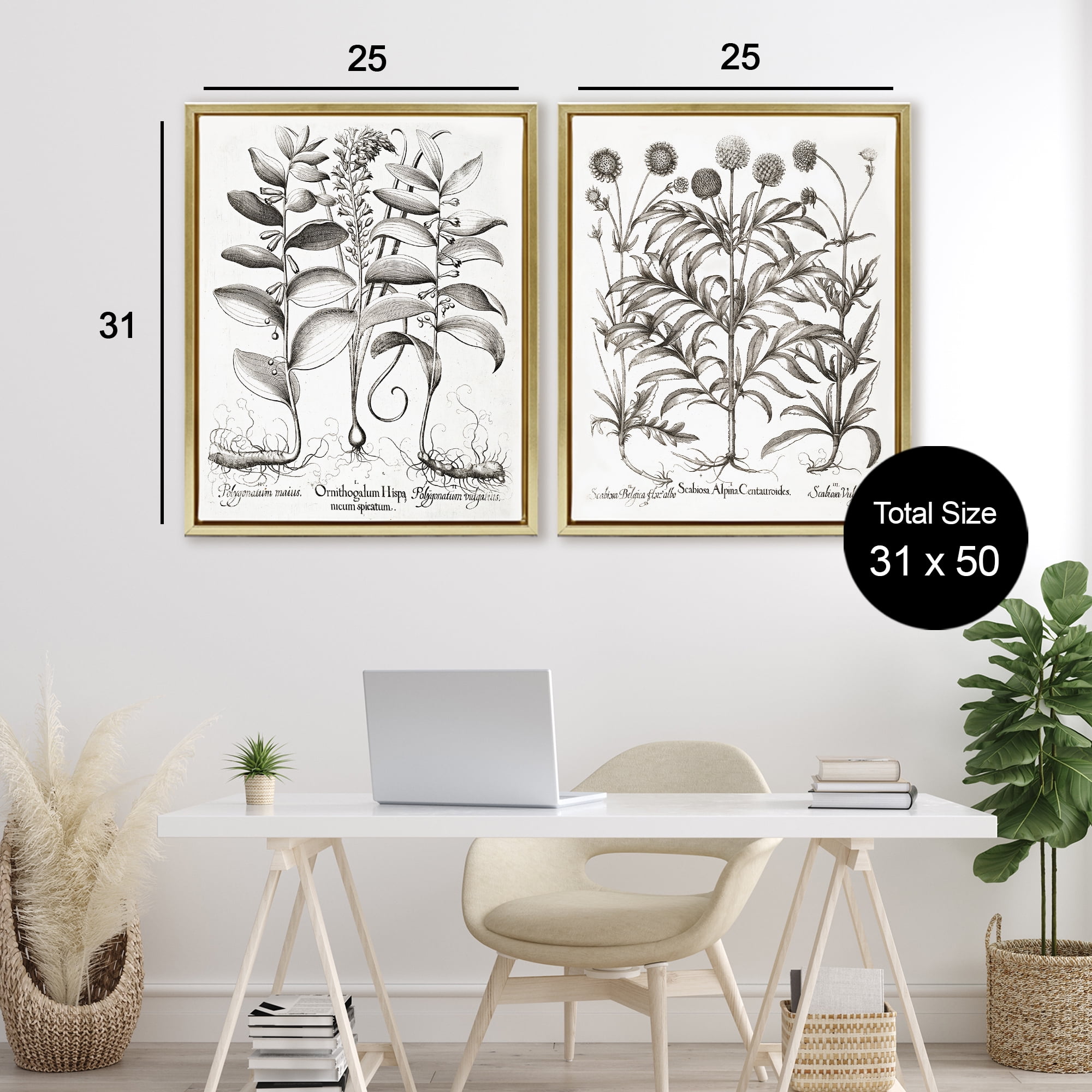 Botanical Root & Plant Studies 2 Piece Gold Framed Floater Canvas Set, design by Lettered and Lined