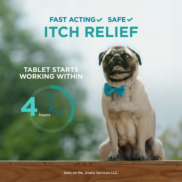 Apoquel oclacitinib tablet for Dogs 5.4 mg Walmart