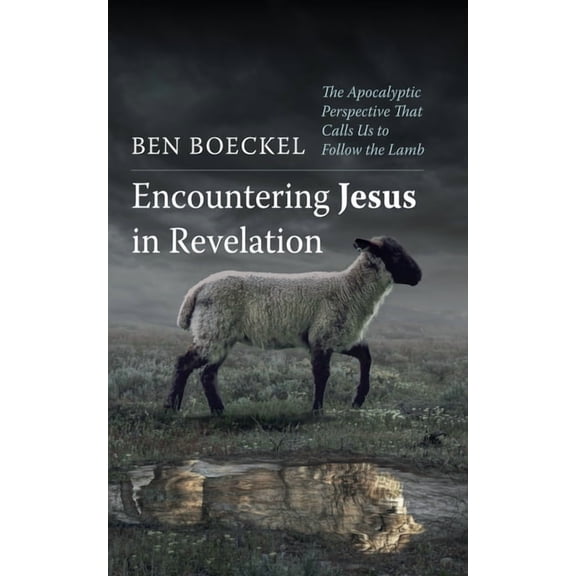 Encountering Jesus in Revelation: The Apocalyptic Perspective That Calls Us to Follow the Lamb, (Hardcover)