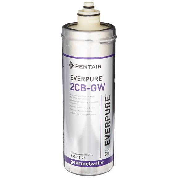 Everpure EV9618-36 2CB-GW Replacement Filter Cartridge