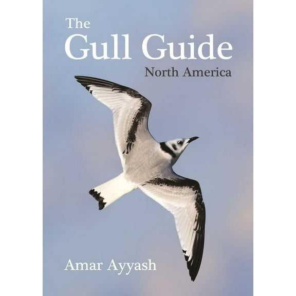 The Gull Guide: North America, (Paperback)
