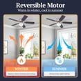 thumbnail image 3 of Prominence Home Alvina 42 Inch Flush Mount Ceiling Fan with Light, Brushed Nickel, 3 of 11