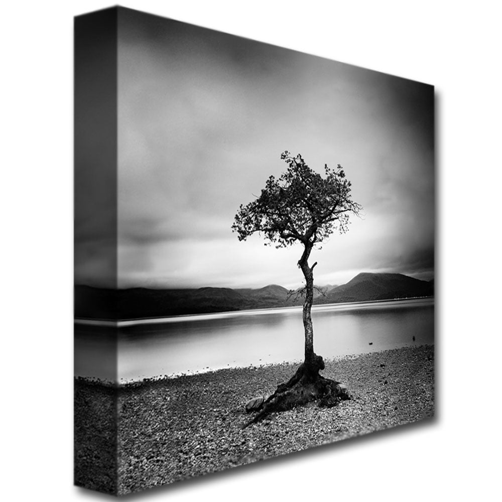 Trademark Art "Scotland, Milarrochy Tree" Canvas Art by Nina Papoirek