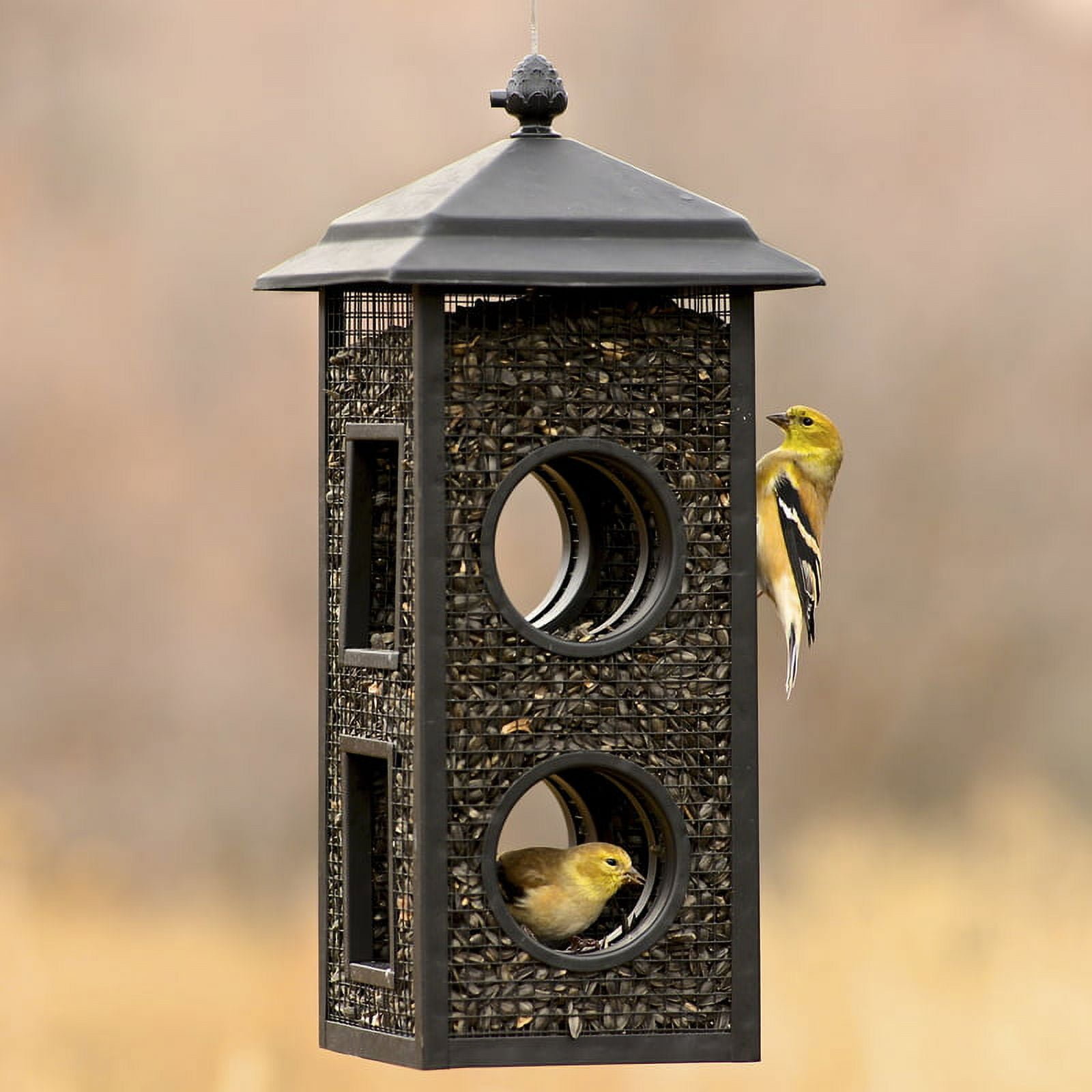 Perky-Pet Fly-Thru Wild Bird Feeder - 2 lb Capacity for Black-Oil Sunflower Seeds - Wild Bird Feeder for Outdoors - Outdoor Decor - B00303