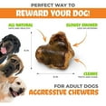 thumbnail image 4 of K9warehouse - Knee Cap Bones for Aggressive Chewing Dogs (4") 25-Count - Long-Lasting, Free-Range, Grass-Fed Beef Bones - Rich Meaty Flavor - Supports Dental Health - Rawhide-Free, 4 of 6