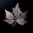 thumbnail image 3 of Queen Jewelry Micro Pave Canadian Maple Leaf Brooches Pins Silver Tone, 3 of 5