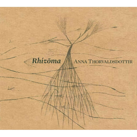 Caput Ensemble Iceland Symphony Orchestra Dehart Birgisson Bjarnason - Rhizoma - Music & Performance - CD