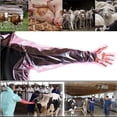 thumbnail image 5 of Set of 50 Veterinary Long Dressing Gloves,33.5In Red Disposable Plastic Artificial Insemination Gloves for Veterinarians and Cleaning, 5 of 6