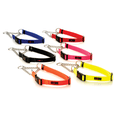 thumbnail image 4 of Play Martingale Collar, 4 of 11