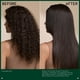 thumbnail image 5 of Aveda Botanical Repair Strengthening Overnight Serum | Tratamiento para restablecer los enlaces moleculares y reparar las puntas abiertas del cabello mientras duermes, 5 of 8