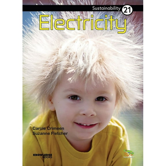 Sustainability: Electricity: Book 21 (Paperback)