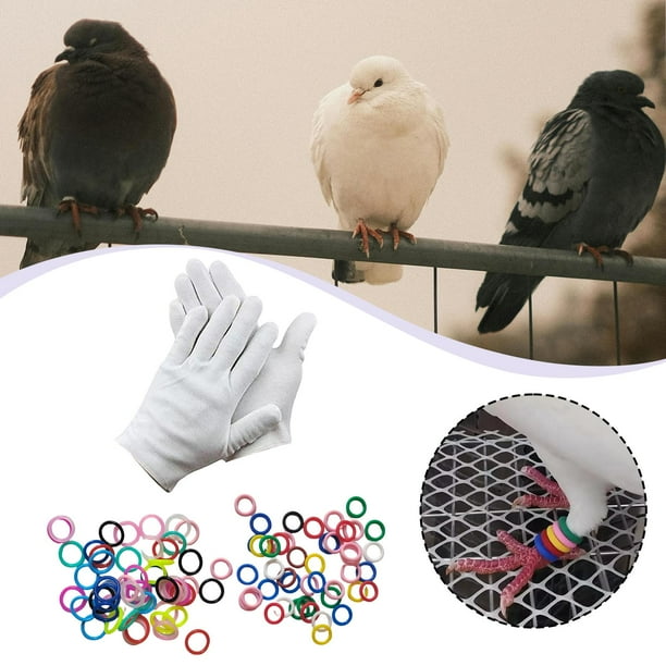 100 Anillas De Identificación Para Patas De Aves (Codornices, Agapornis, Rutina)