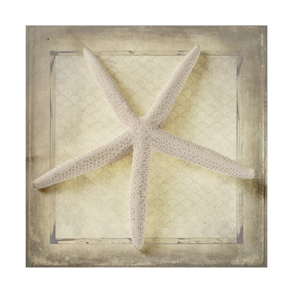 LightBoxJournal 'Starfish' Canvas Art