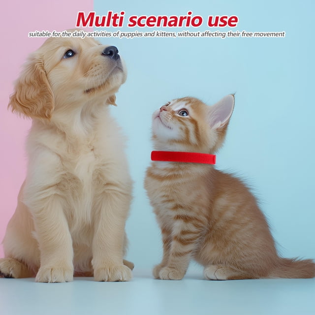 QUMIIRITY 36Ud Collar Para Cachorro Y Pequeño Con Identificación Colorida Y Cómoda Para Uso Diario