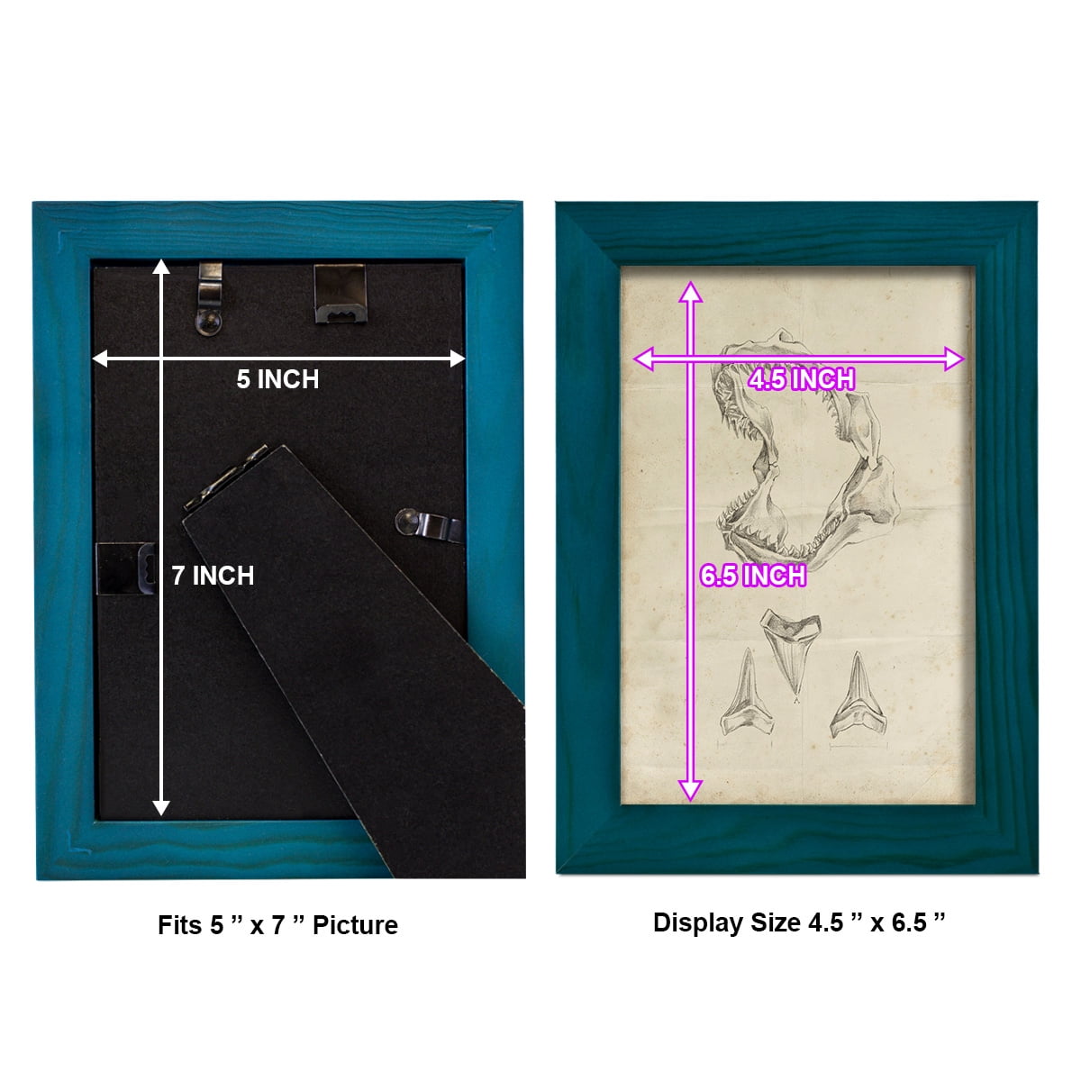 Shark Study II - Framed Print w/glass - Ocean Blue